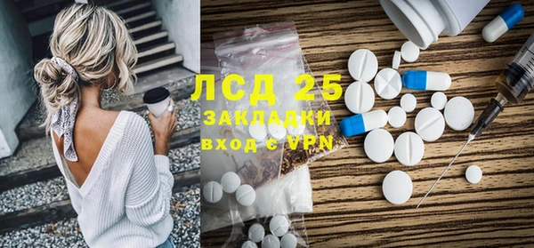 ECSTASY Бородино