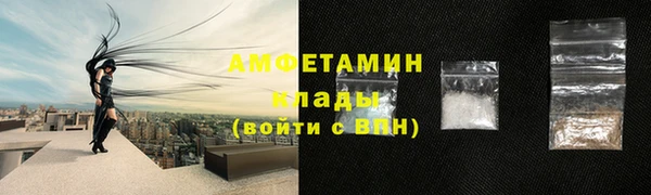 прущие грибы Покровск