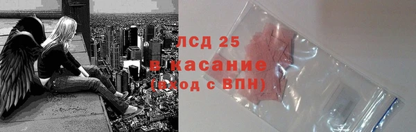 прущие грибы Покровск