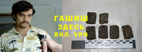 ECSTASY Бородино