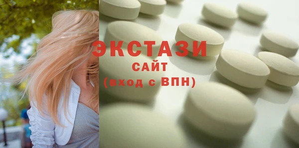 ECSTASY Бородино