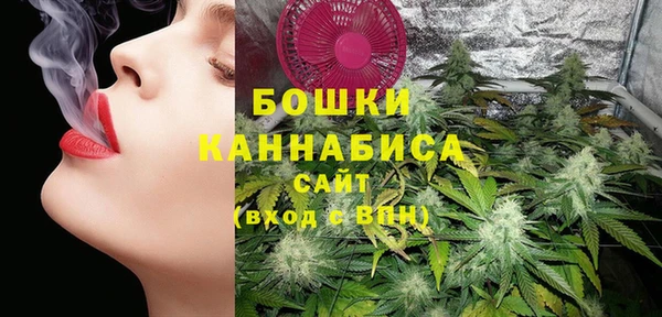 прущие грибы Покровск