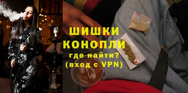 ECSTASY Бородино