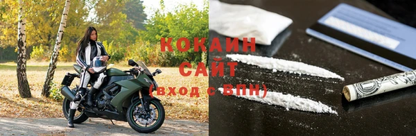 ECSTASY Бородино