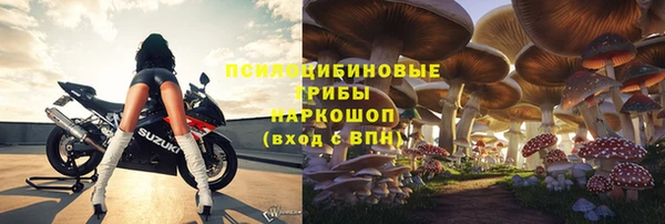 гидра Бугульма