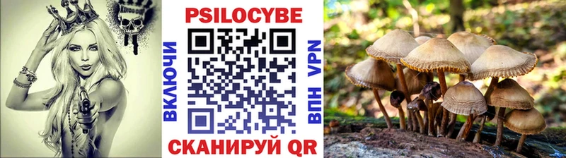 Галлюциногенные грибы Psilocybine cubensis  Уфа 